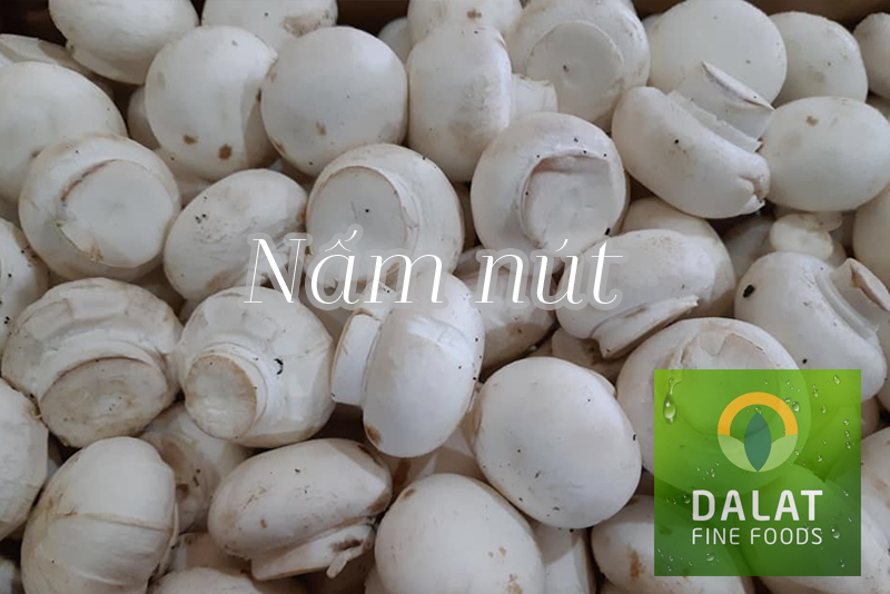 Nấm nút Dalat Fine Foods